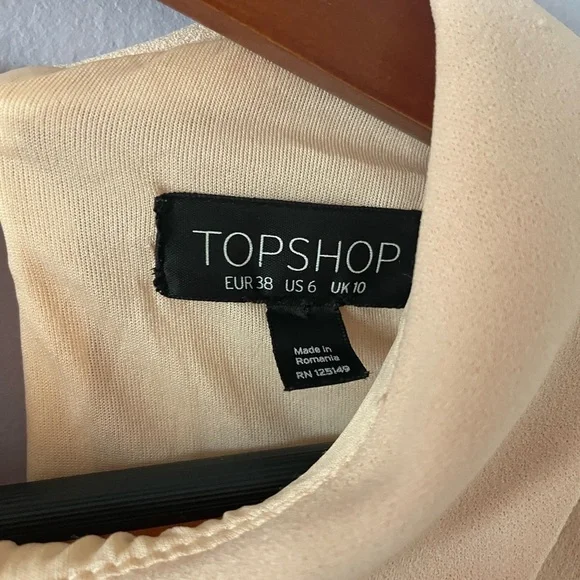 Topshop Dress - Picture 3 of 4